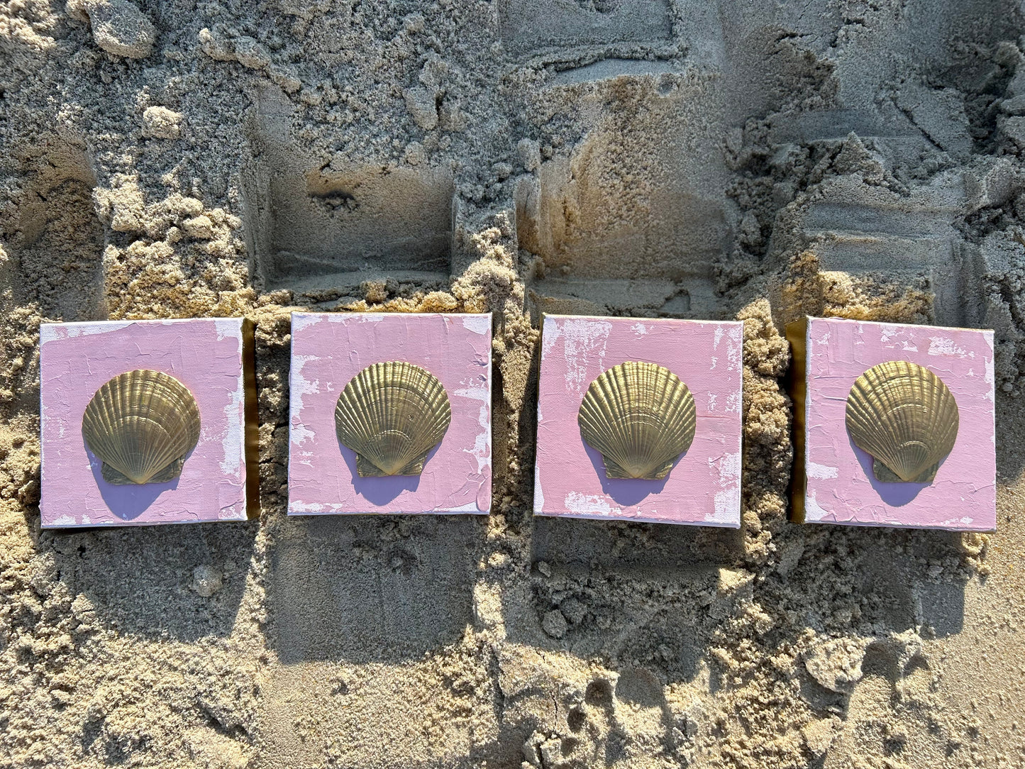 Tidewater Shells D