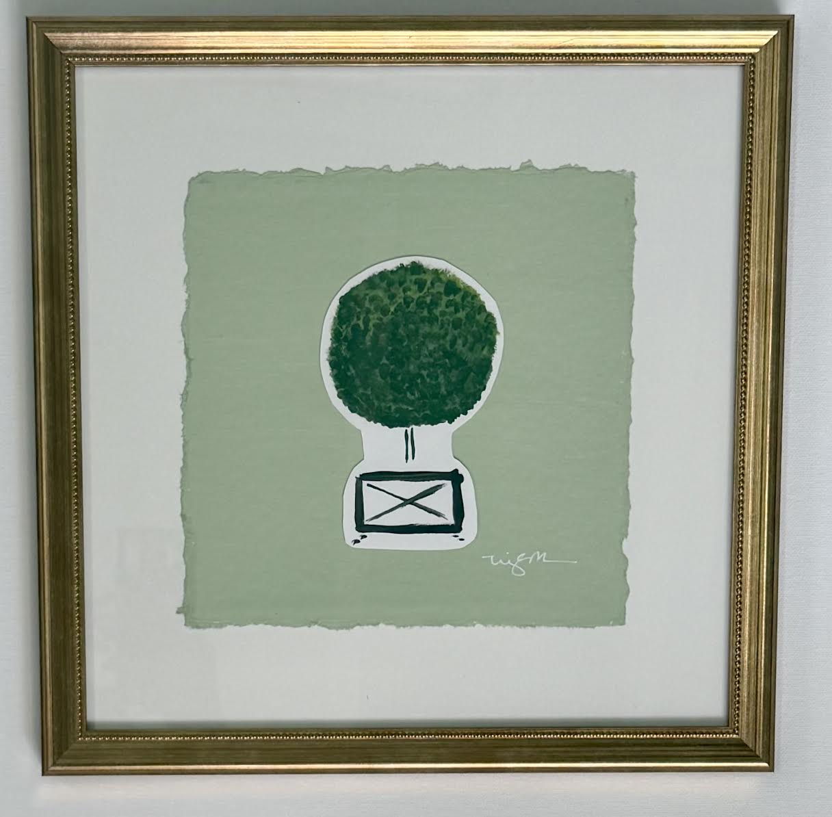Charleston Boxwood 1