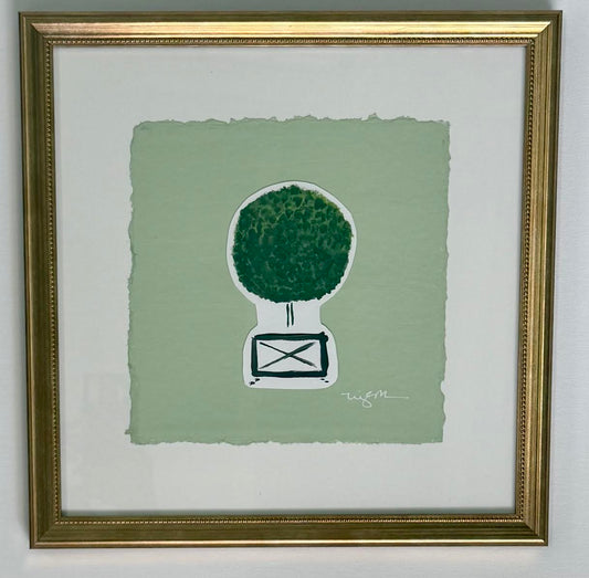 Charleston Boxwood 1