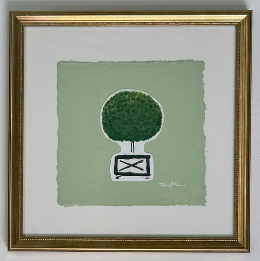 Charleston Boxwood II