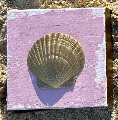 Tidewater Shells A