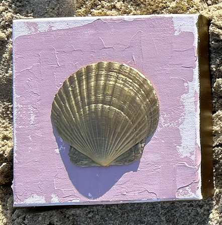 Tidewater Shells A
