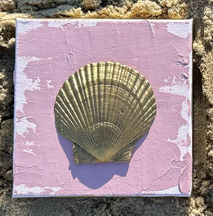 Tidewater Shells B