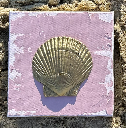 Tidewater Shells B