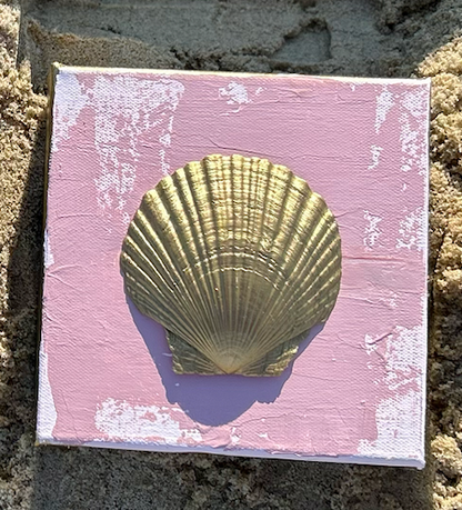 Tidewater Shells C