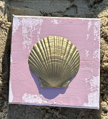 Tidewater Shells C