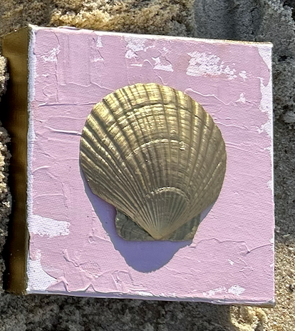 Tidewater Shells D